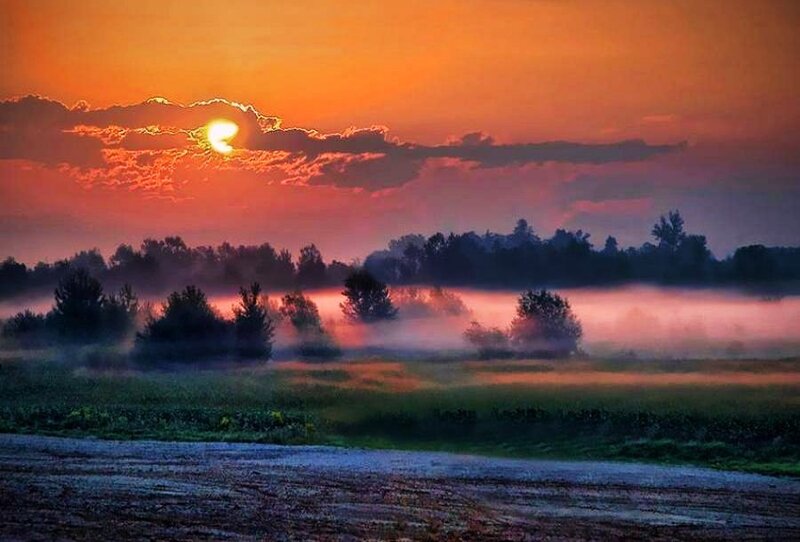 Sunrise over misty fields
