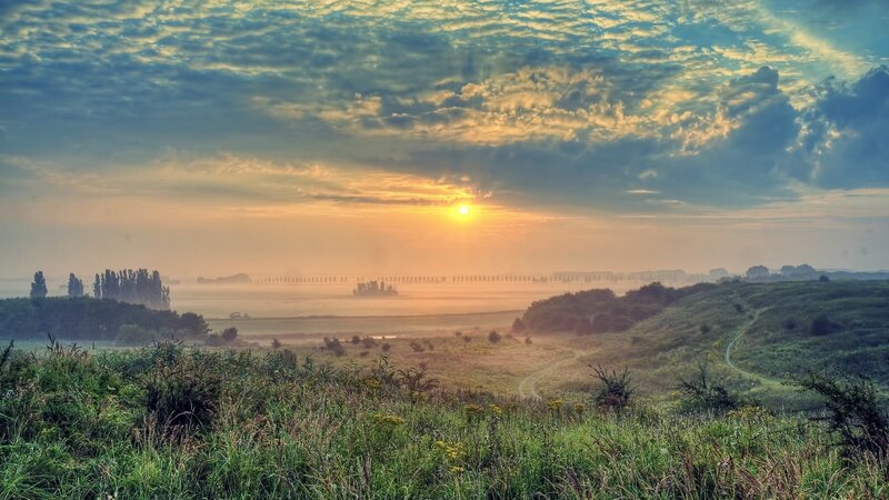 Sunrise over Misty Fields — Green, Serene