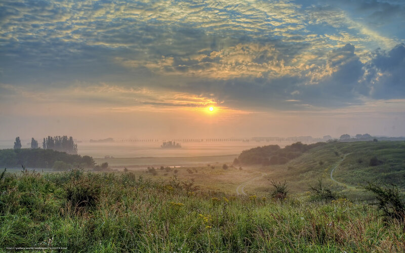 Sunrise over Misty Fields — Green