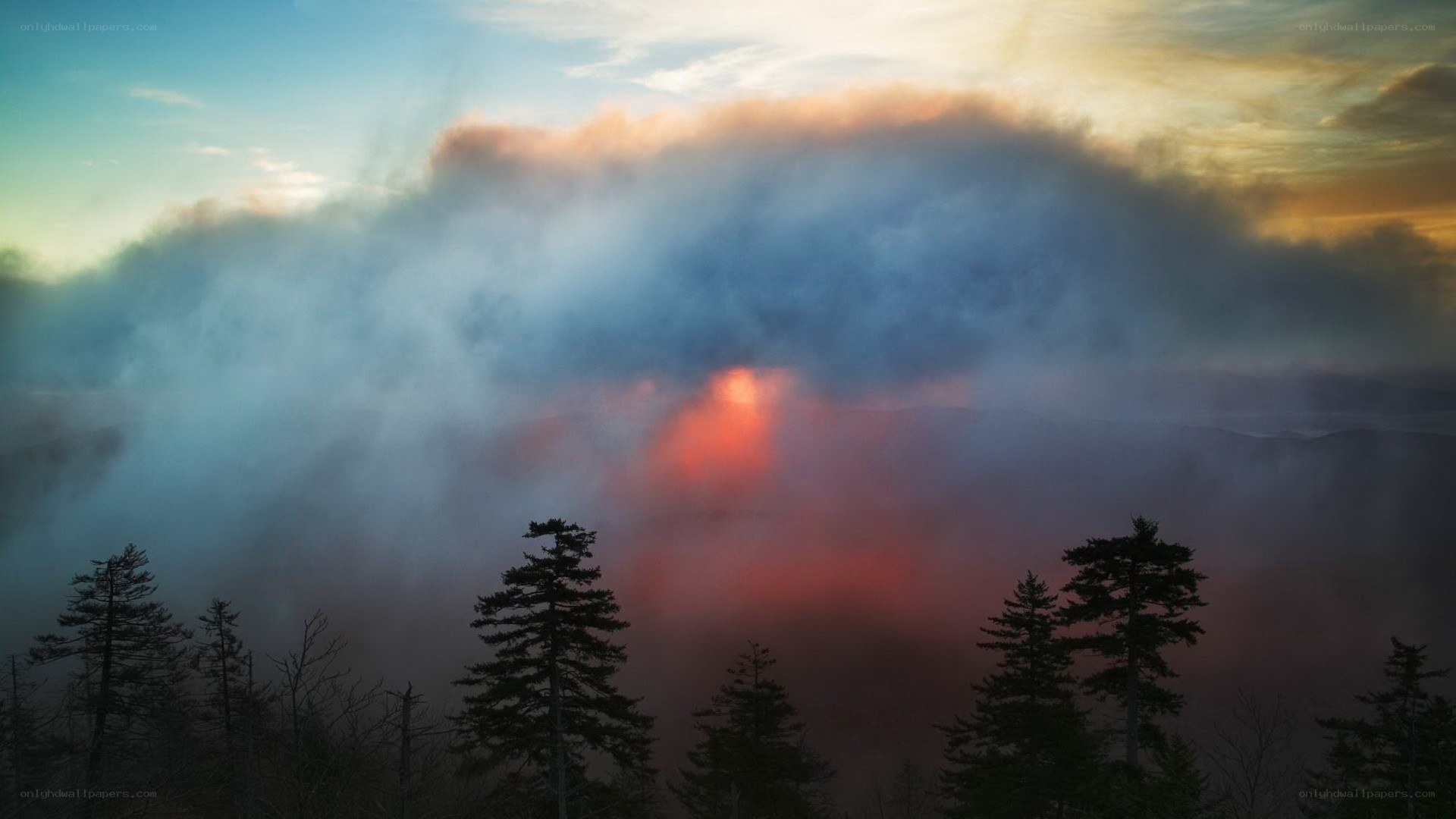 Sunrise over misty forest