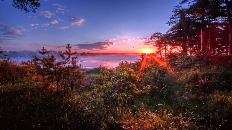Sunrise over Misty Forest — Blue
