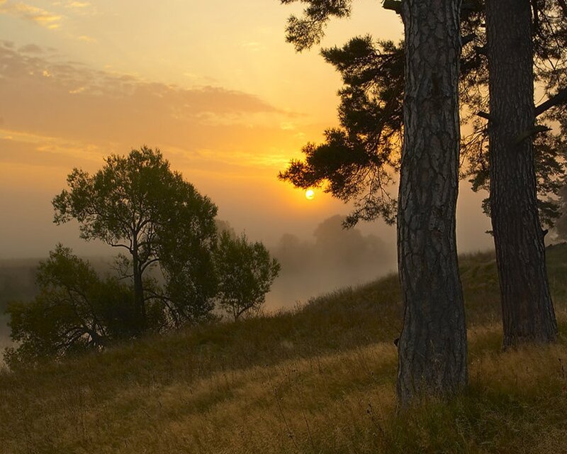 Sunrise over Misty Hill