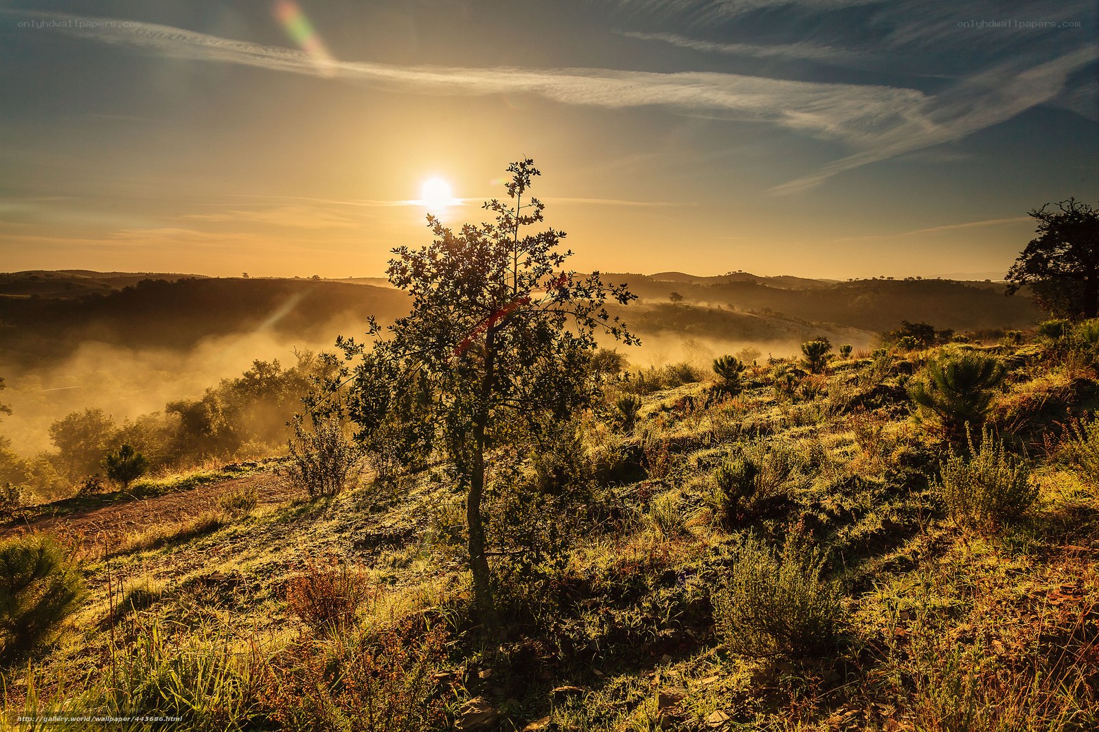 Sunrise over misty hills