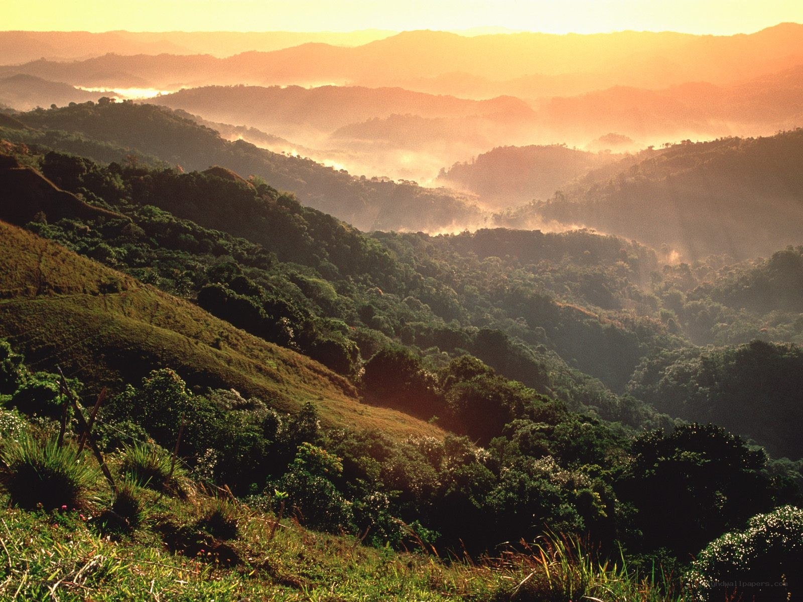 Sunrise over misty hills