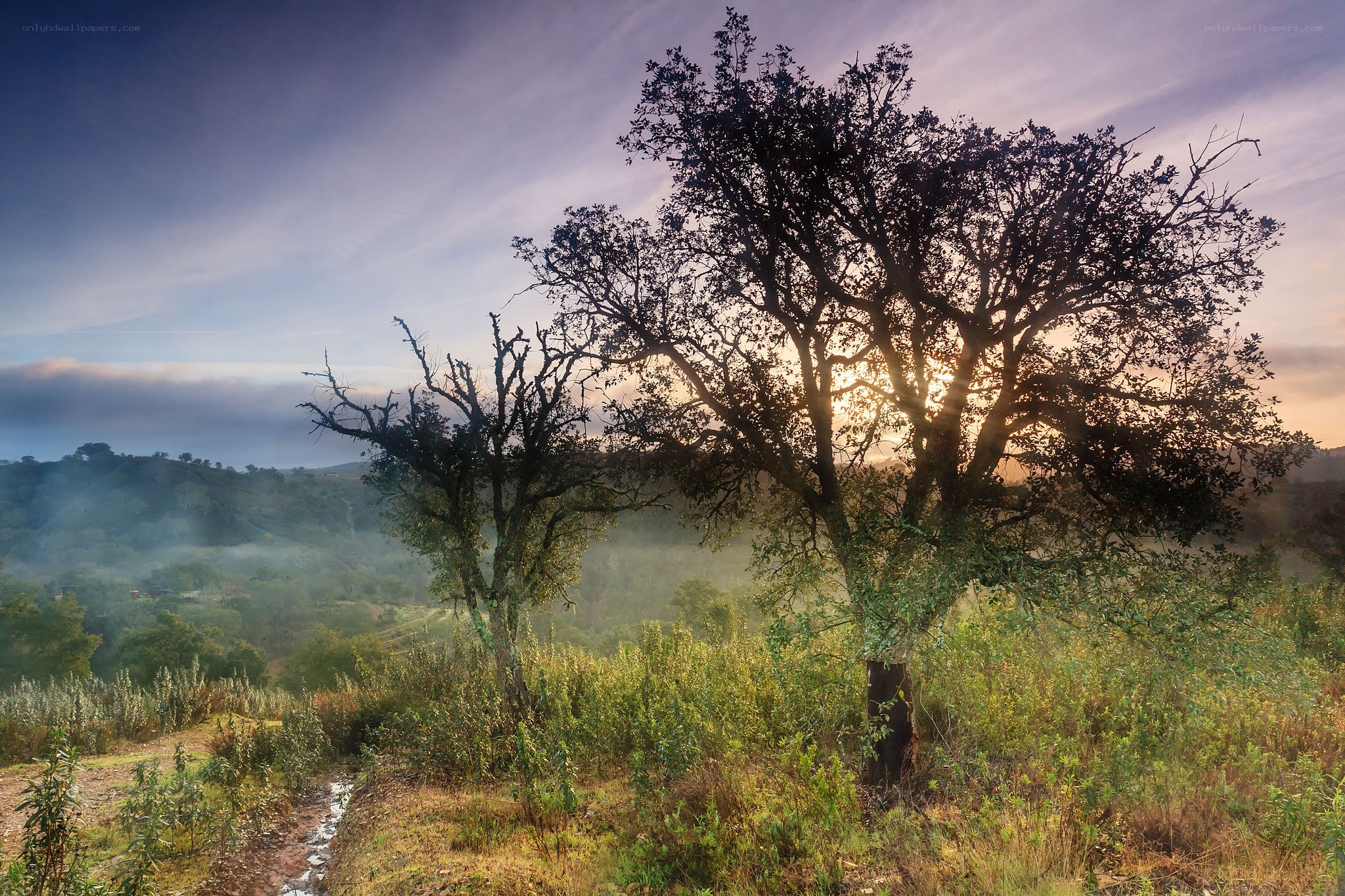 Sunrise over misty hills
