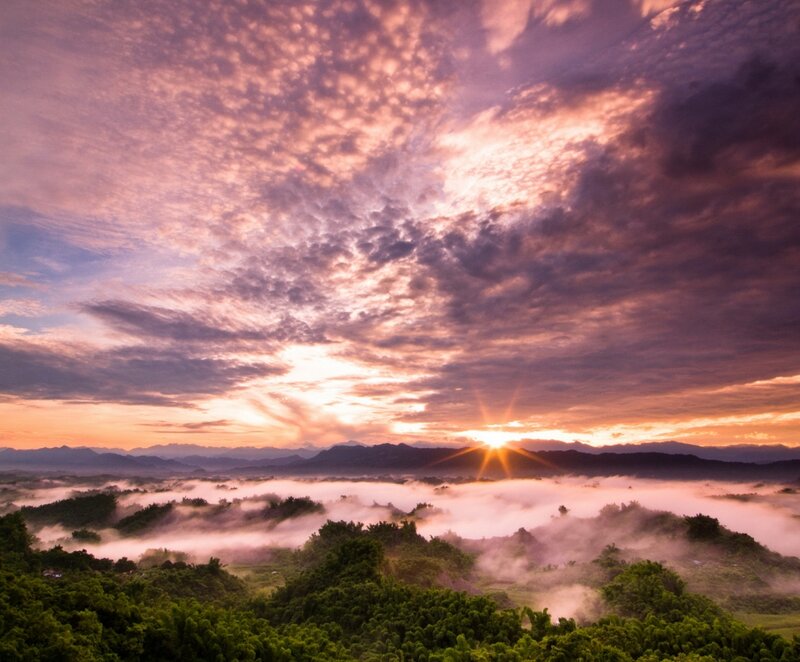 Sunrise over Misty Hills — Purple, Serene