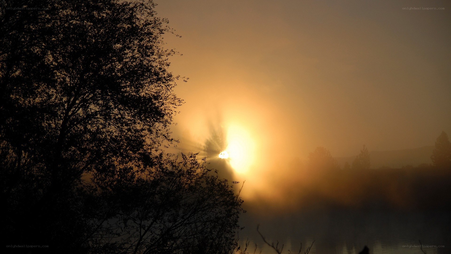Sunrise over misty lake