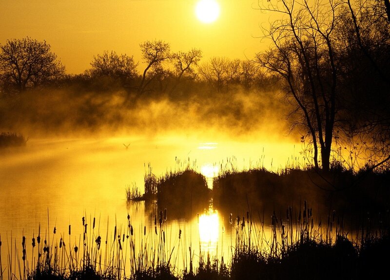 Sunrise over misty lake