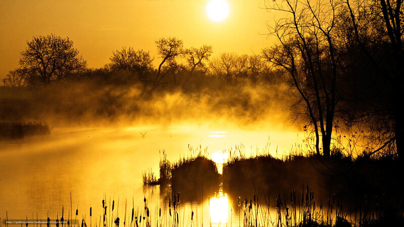 Sunrise over misty lake