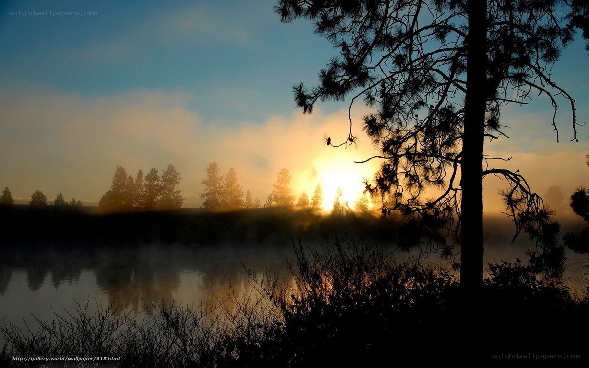 Sunrise over misty lake