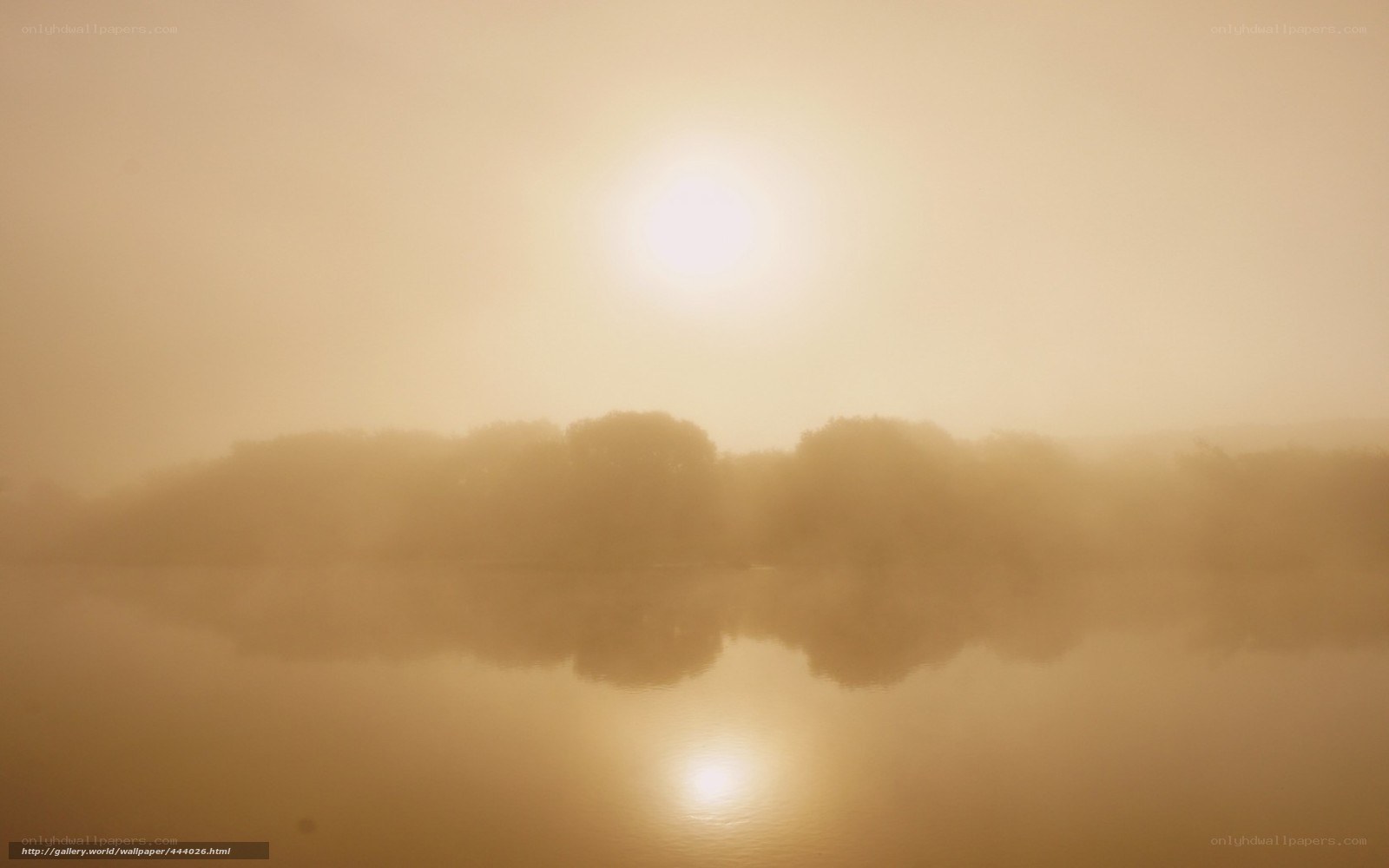 Sunrise over misty lake