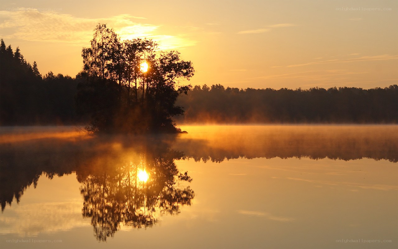 Sunrise over misty lake