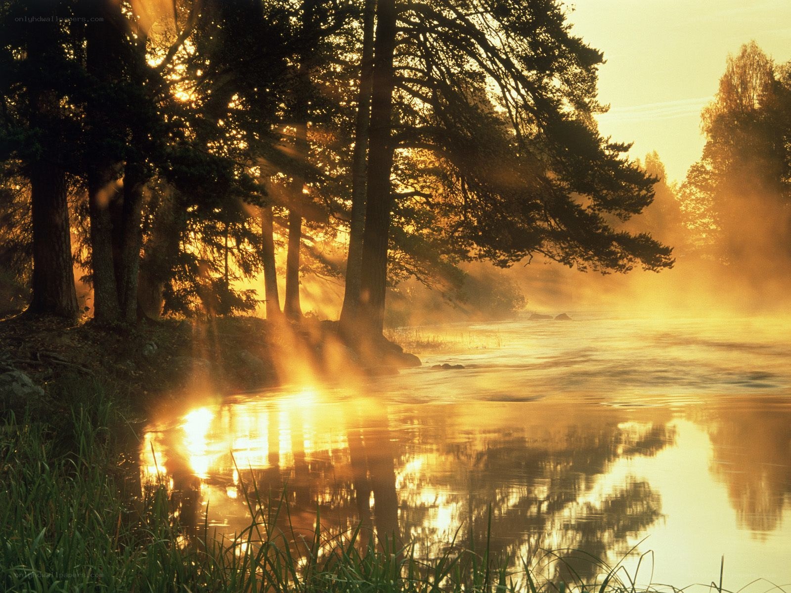 Sunrise over misty lake
