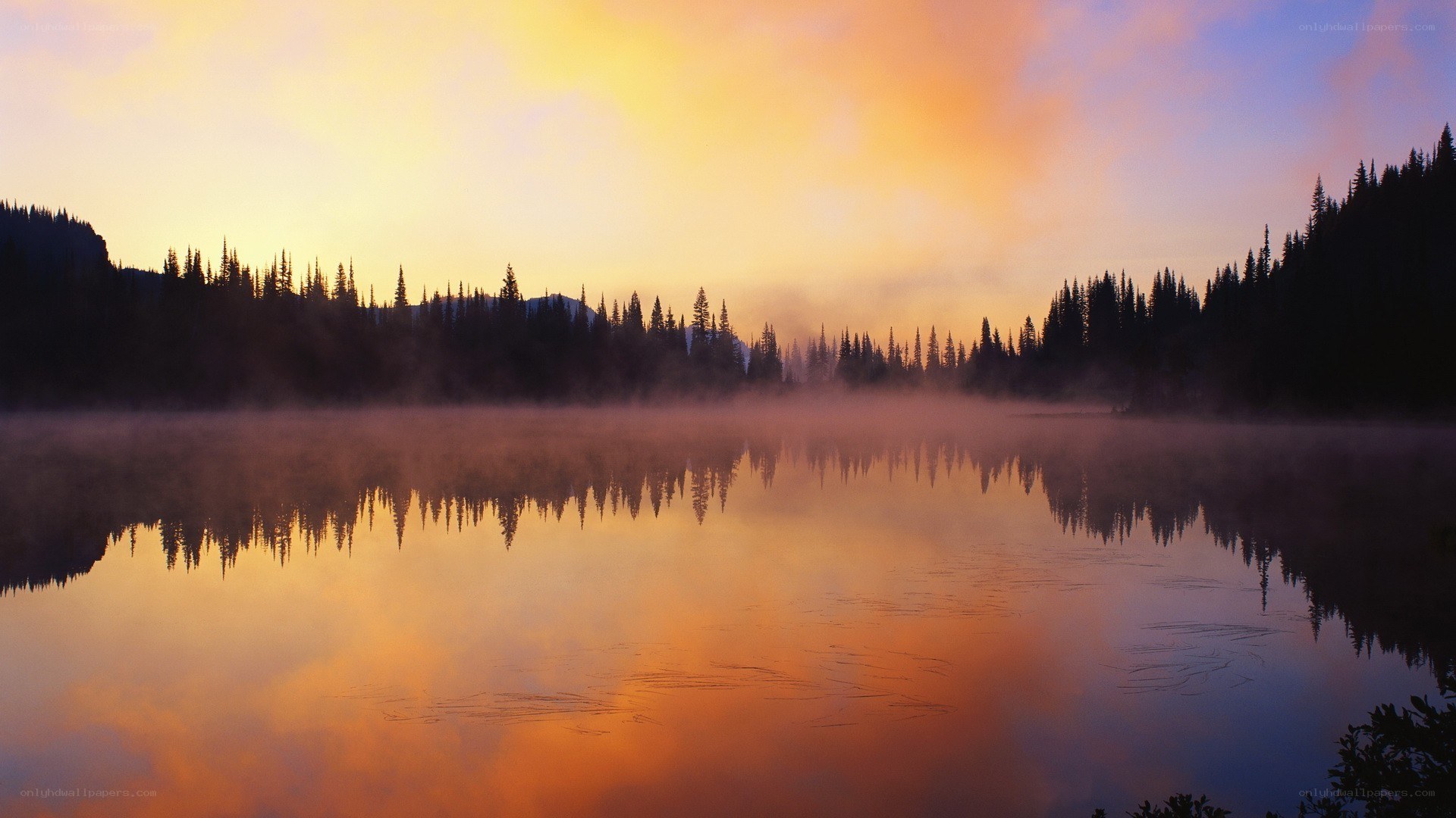 Sunrise over misty lake