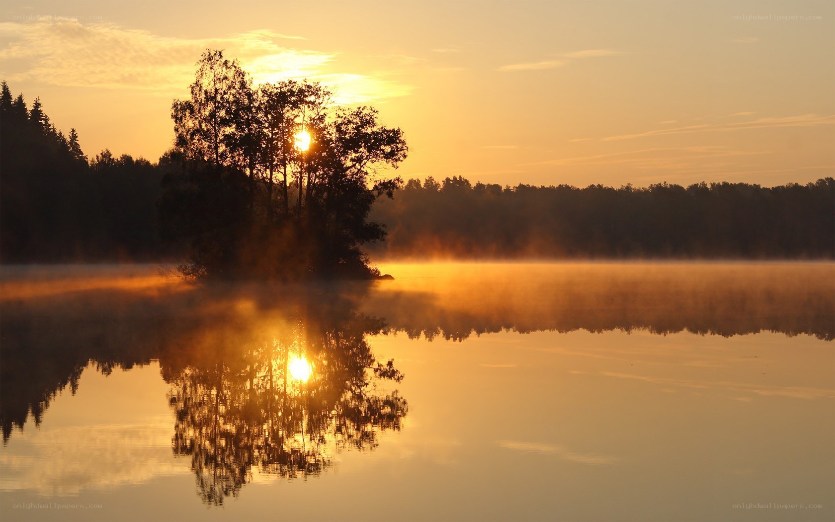 Sunrise over misty lake