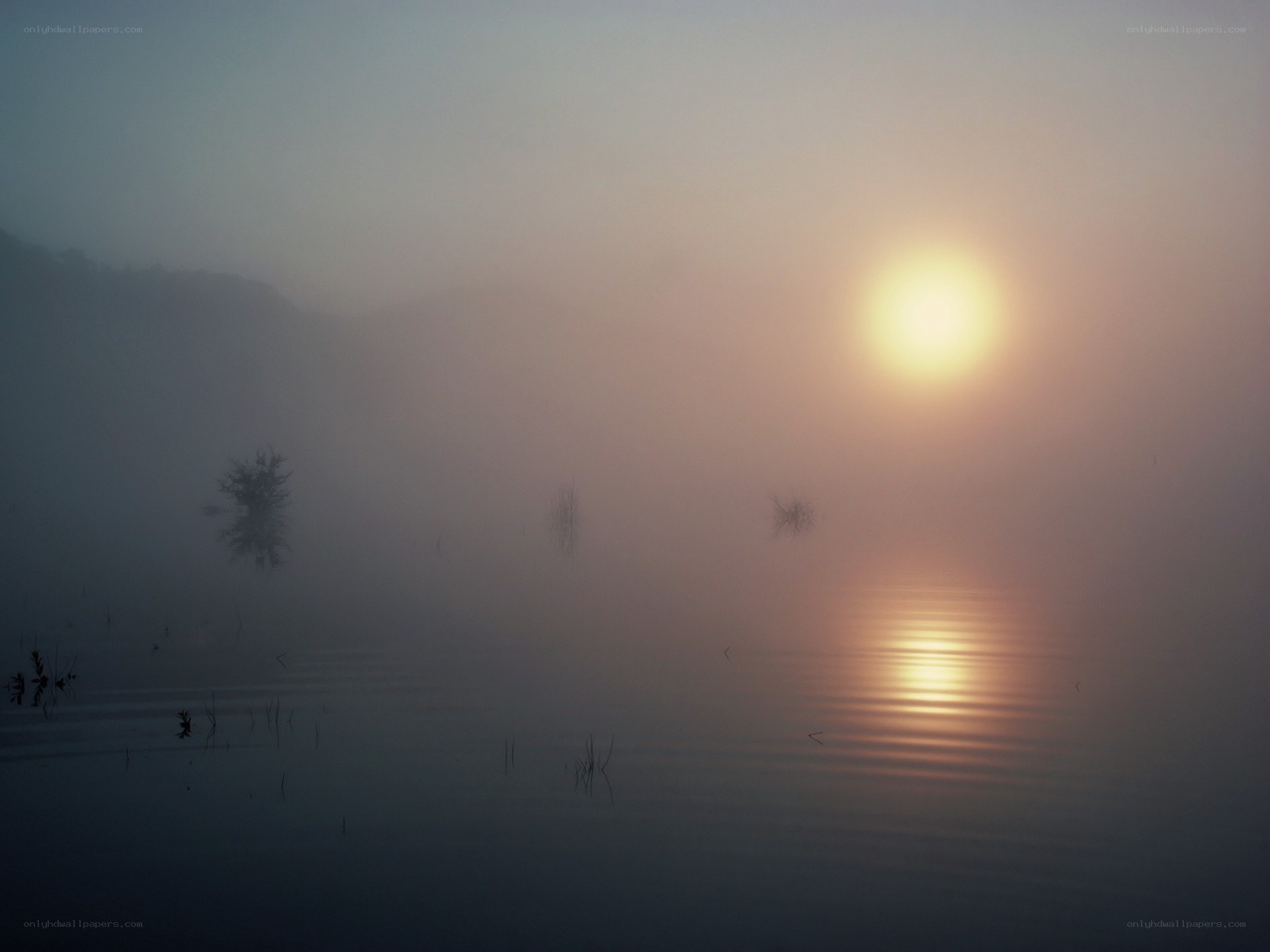 Sunrise over misty lake
