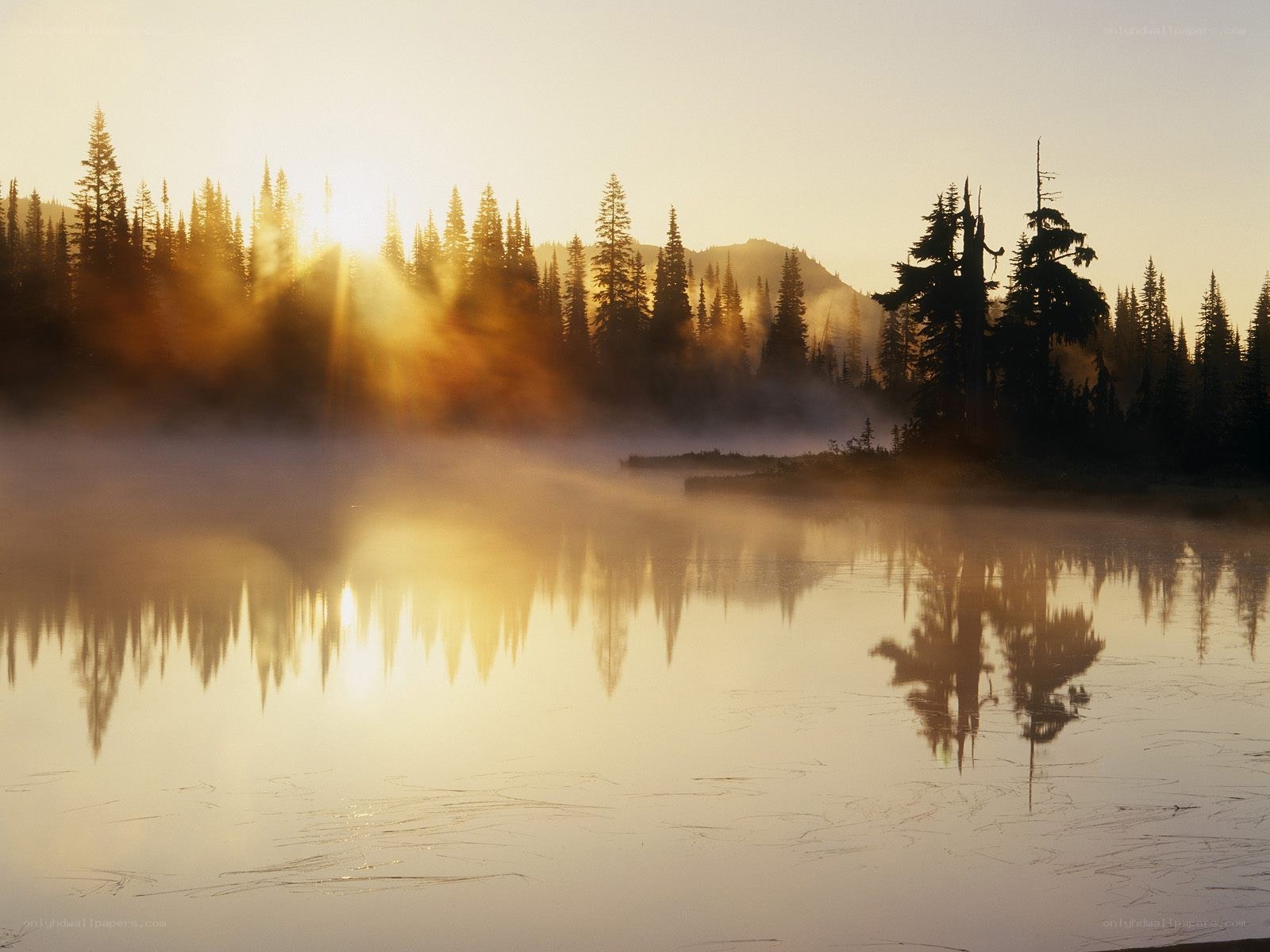 Sunrise over misty lake