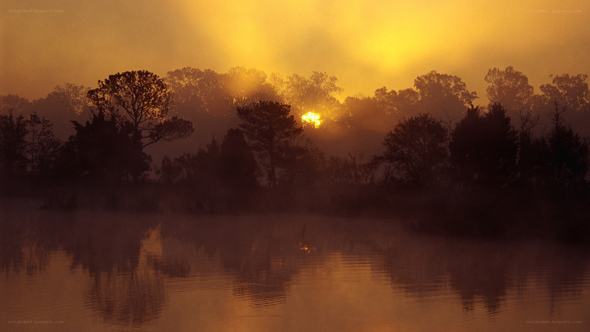 Sunrise over misty lake