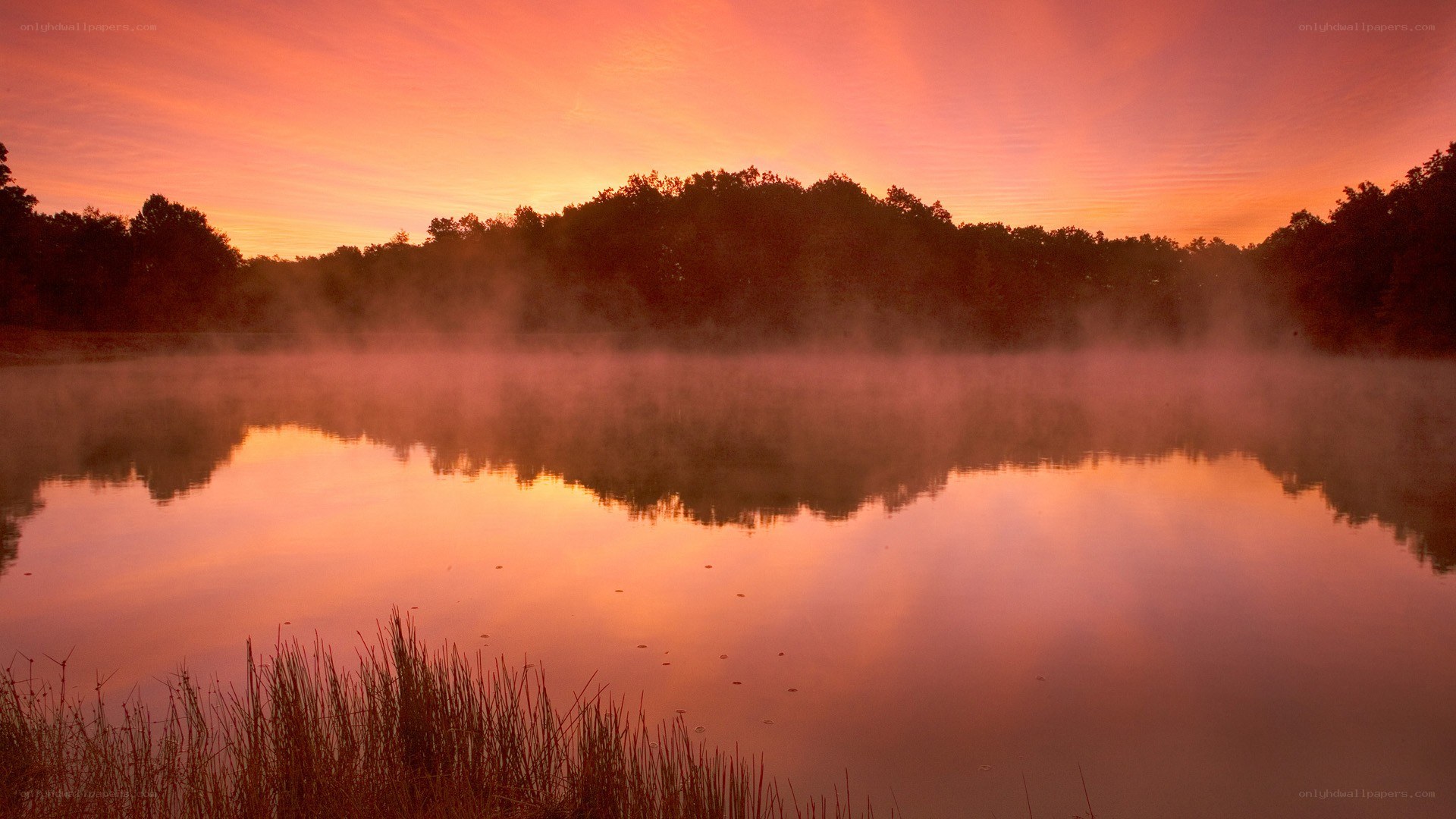 Sunrise over misty lake