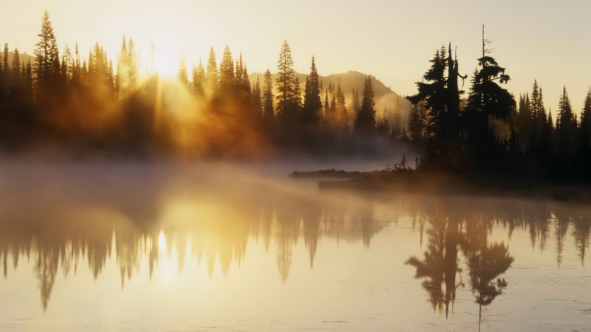 Sunrise over misty lake