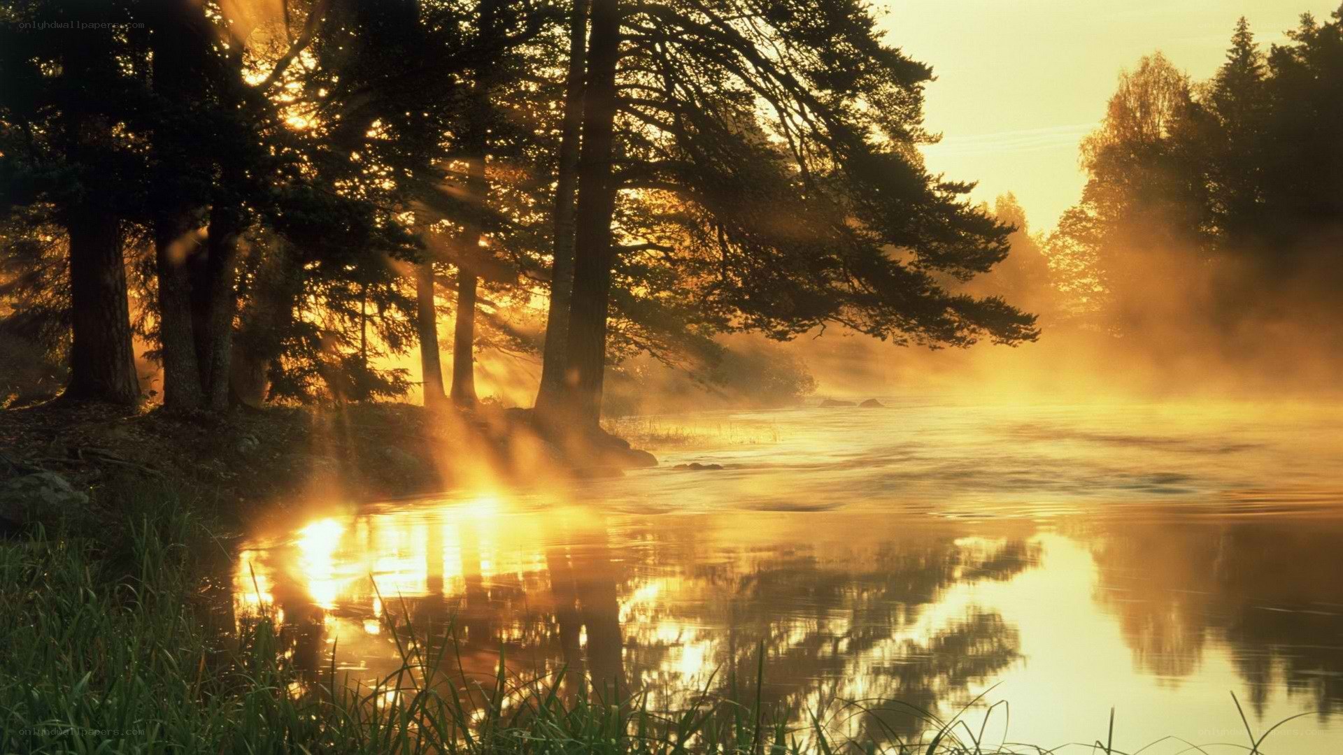 Sunrise over misty lake