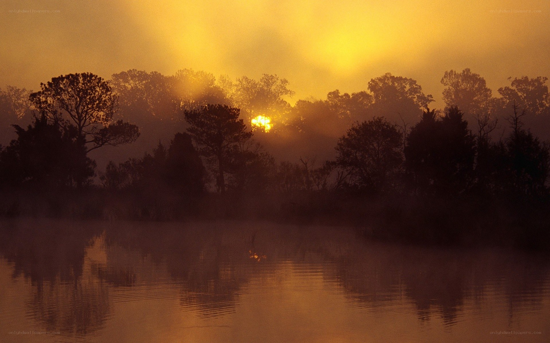 Sunrise over misty lake