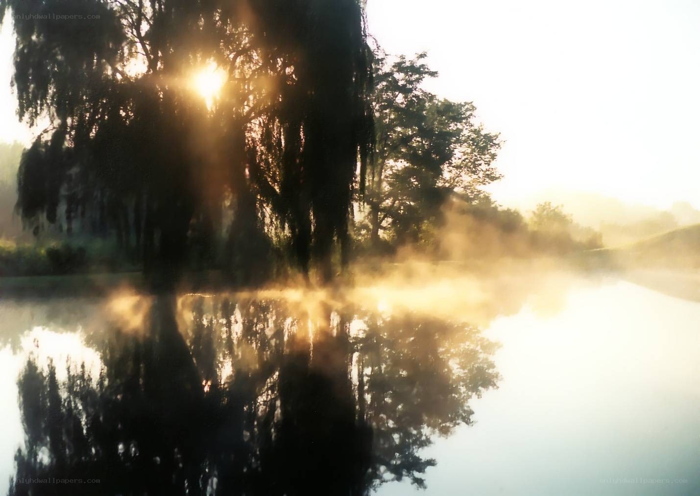 Sunrise over misty lake