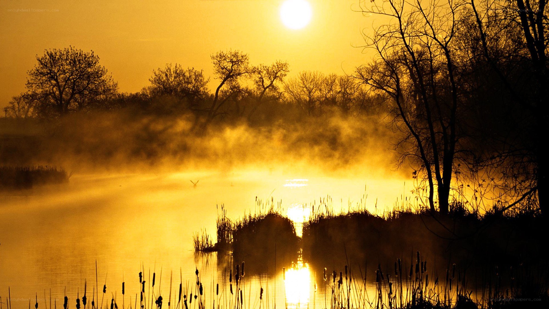Sunrise over misty lake