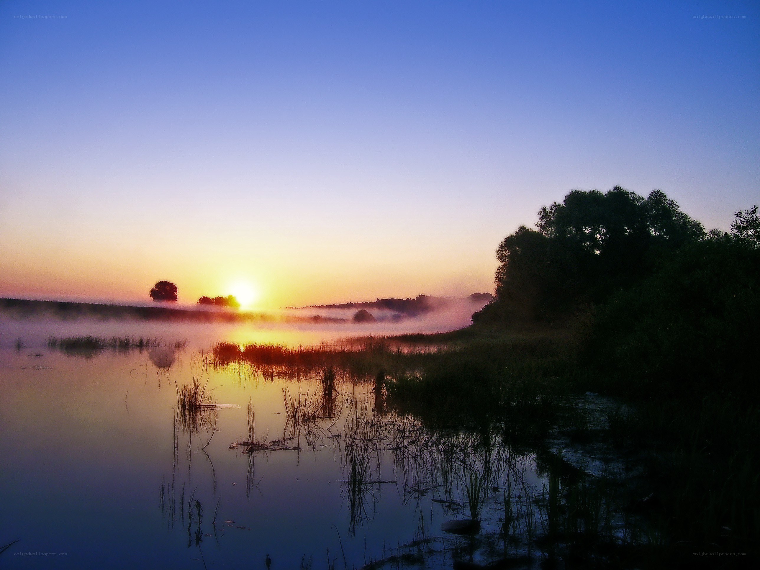 Sunrise over misty lake