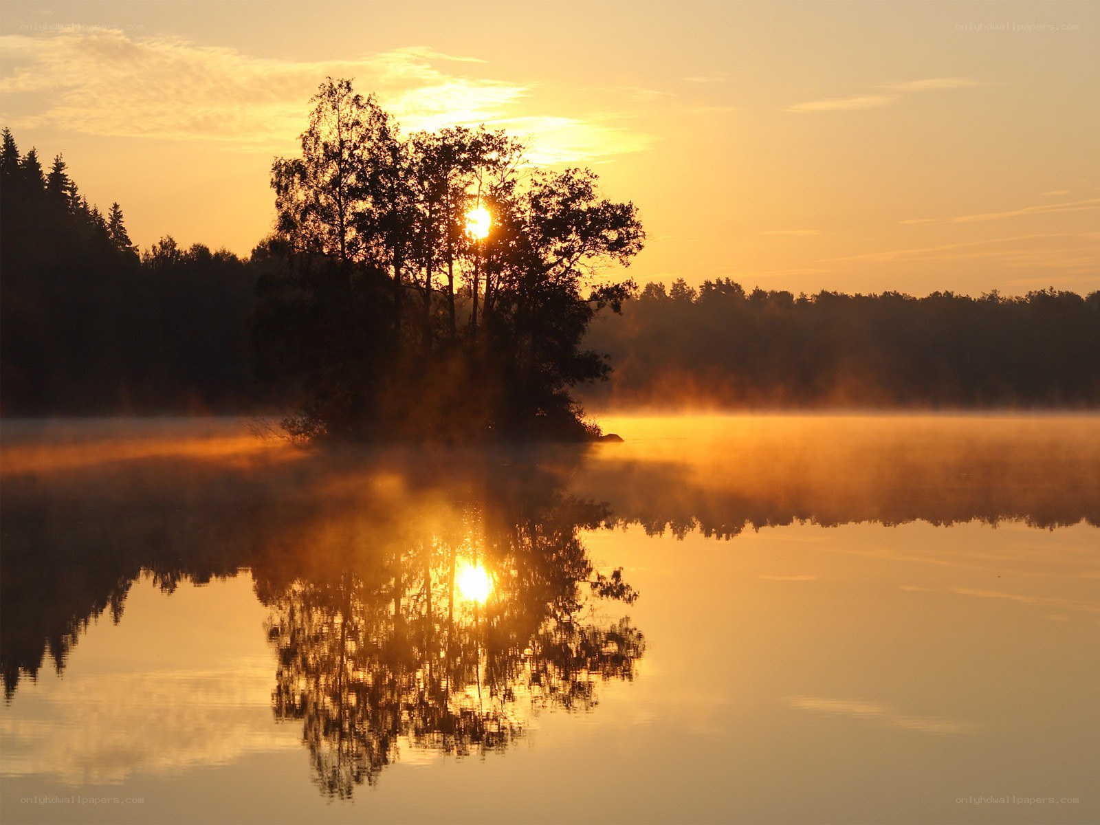 Sunrise over misty lake