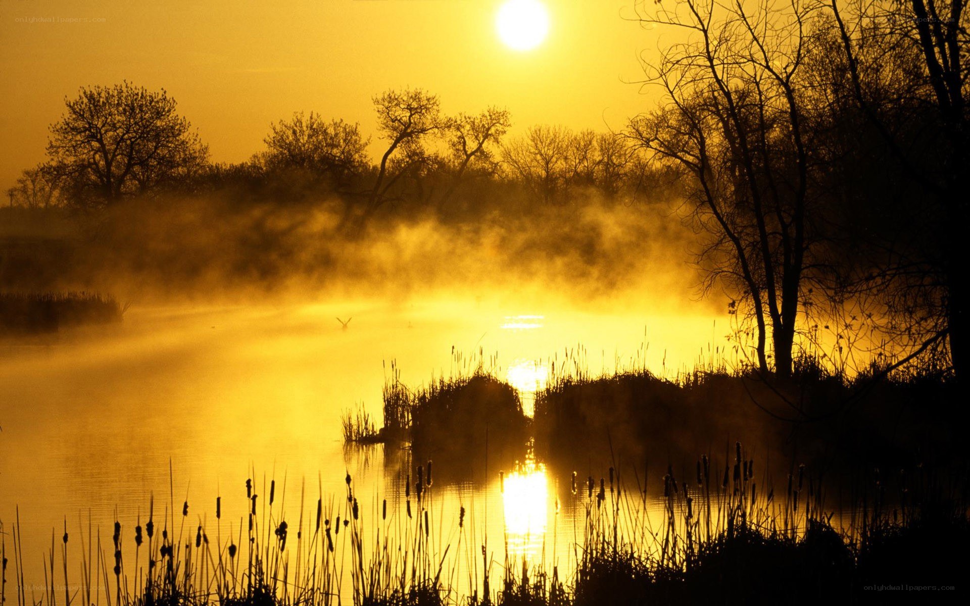 Sunrise over misty lake