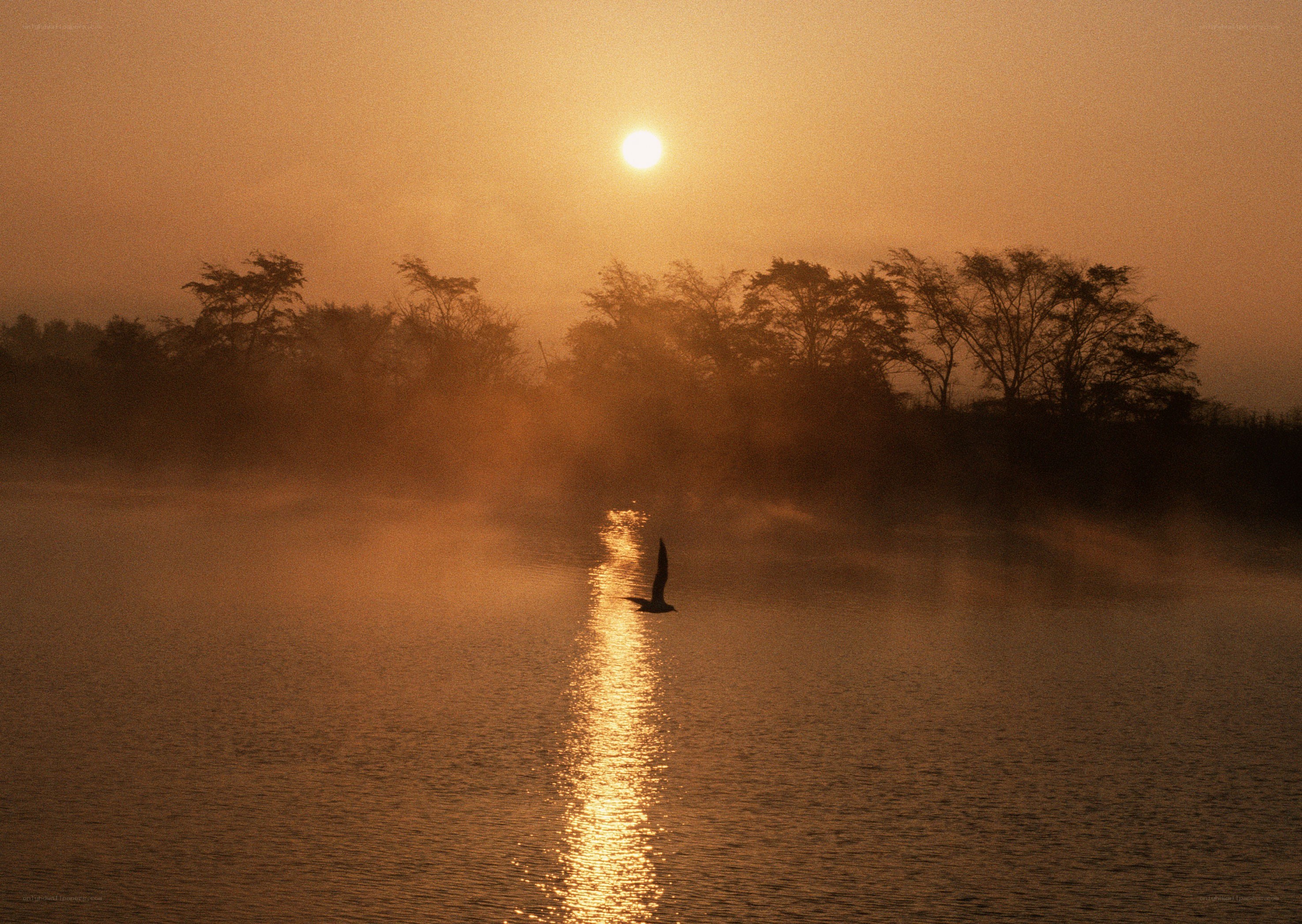 Sunrise over misty lake