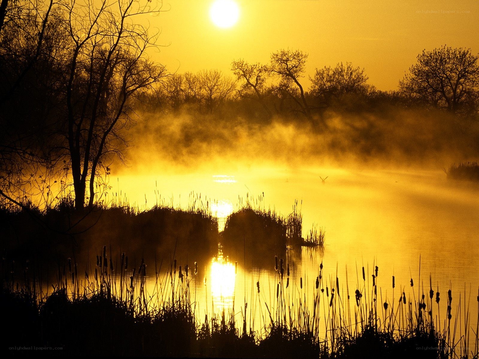 Sunrise over misty lake