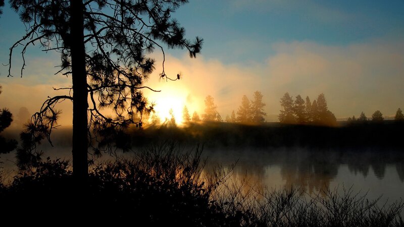 Sunrise over Misty Lake — Blue, Serene, Photograph, Trees, Mist, Sun