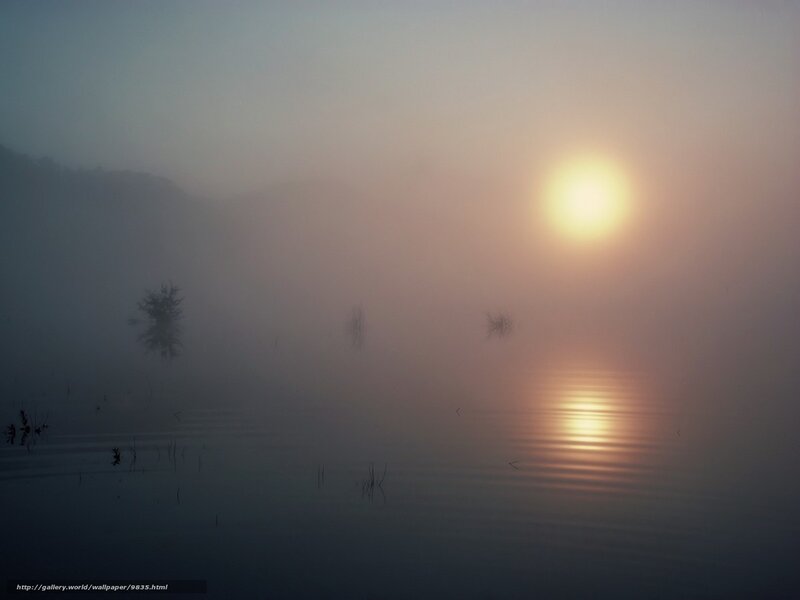 Sunrise over Misty Lake — Blue, Serene