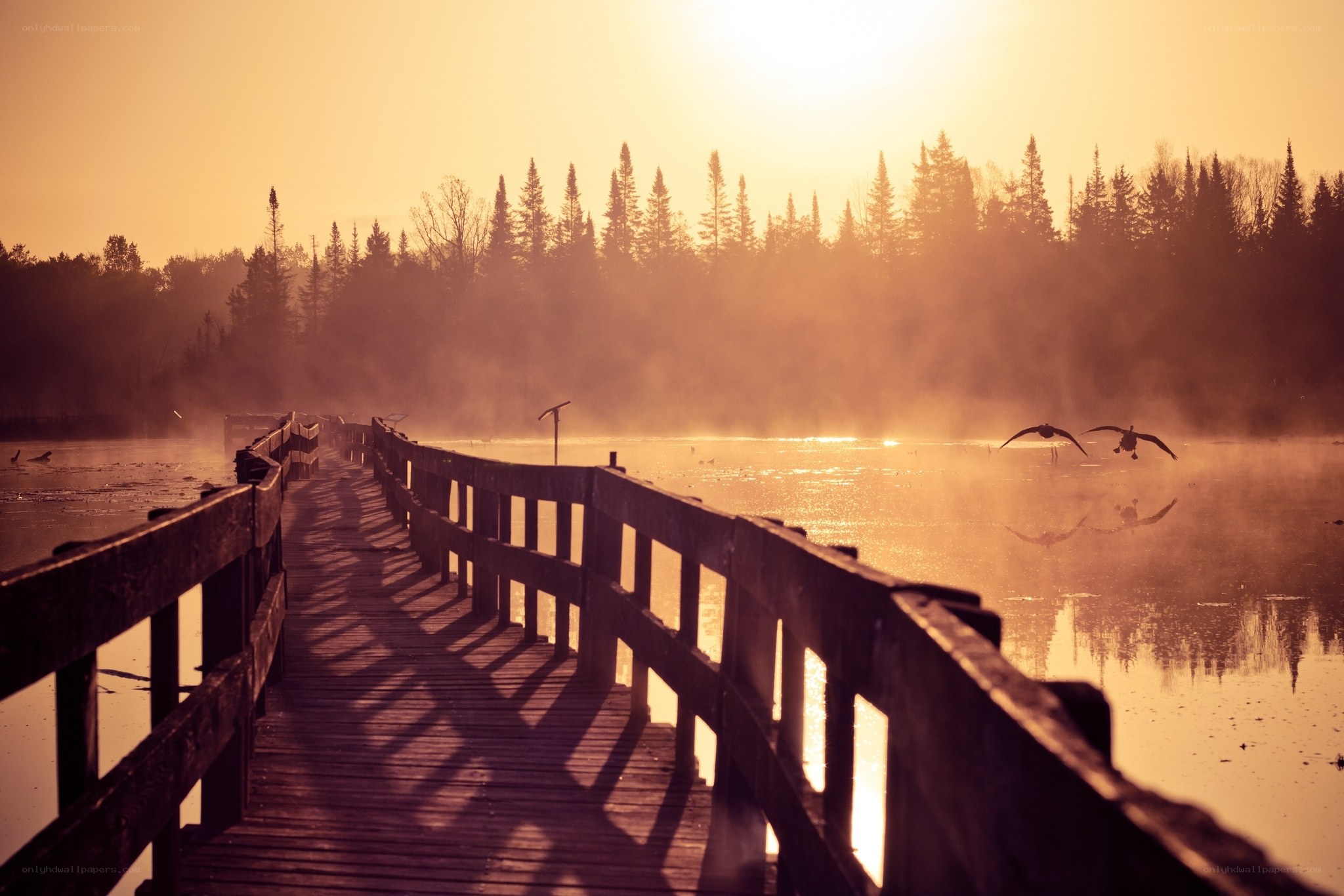 Sunrise over misty lake dock