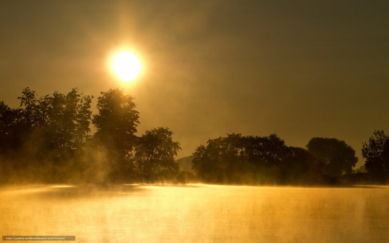 Sunrise over Misty Lake — Gold, Serene, Photograph