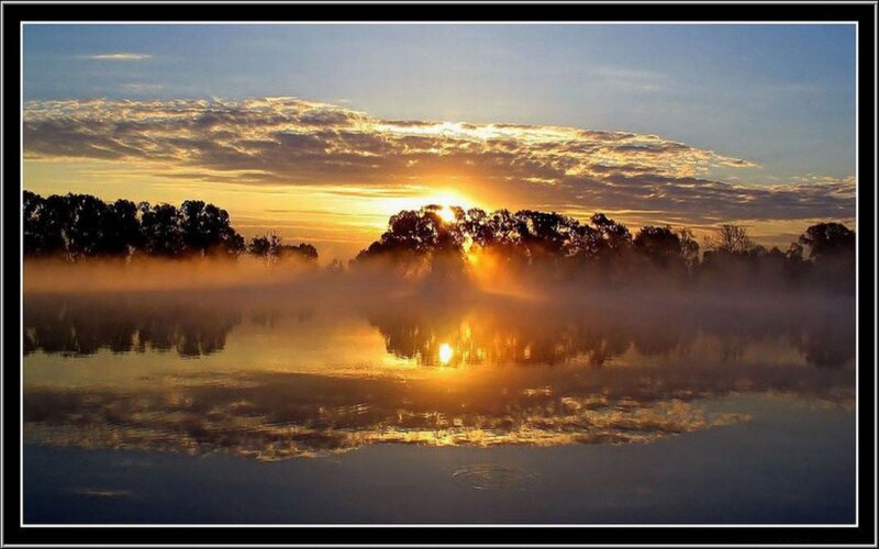 Sunrise over Misty Lake — Gold, Serene, Photograph, Trees, Fog
