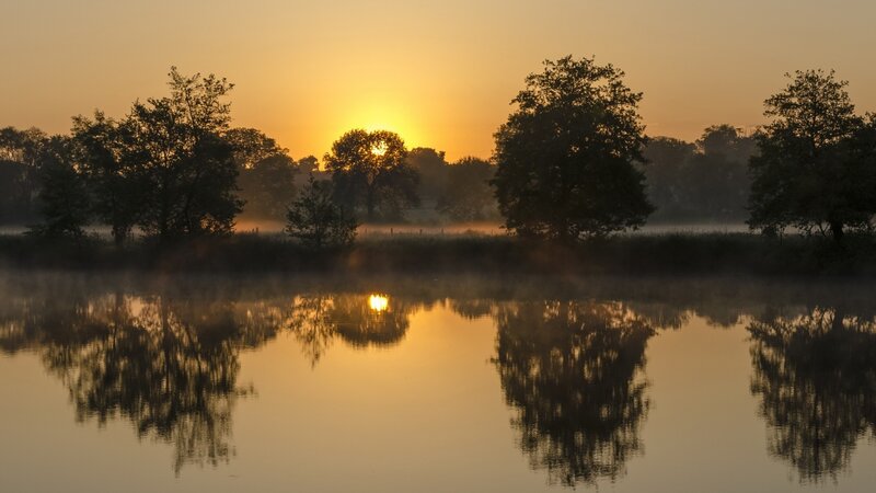 Sunrise over Misty Lake — Gold, Serene