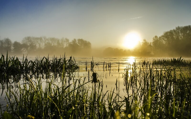 Sunrise over Misty Lake — Green