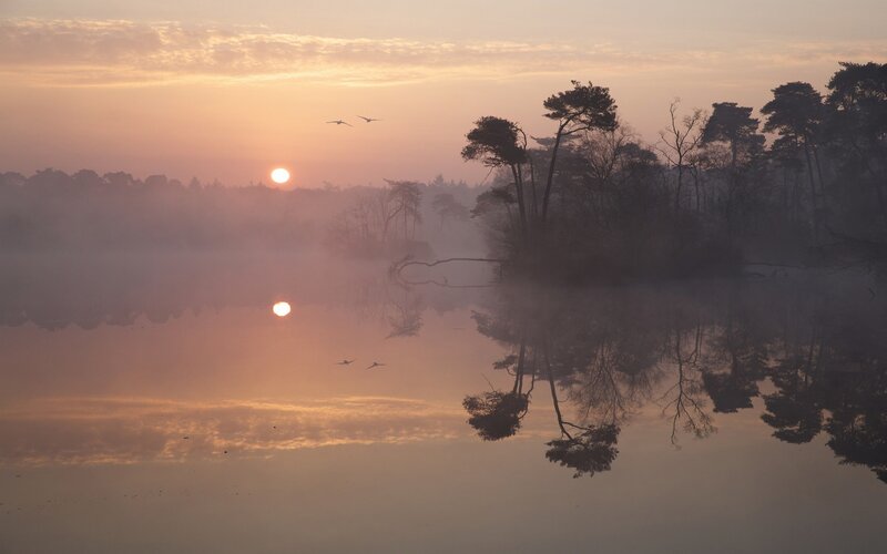 Sunrise over Misty Lake — Orange, Serene, Photograph, Trees, Birds