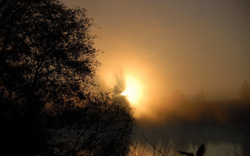 Sunrise over Misty Lake — Orange, Serene, Photograph, Trees, Mist, Sun