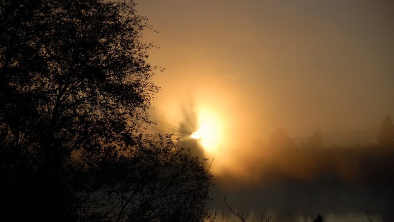 Sunrise over Misty Lake — Orange, Serene, Photograph, Trees, Mist, Yellow
