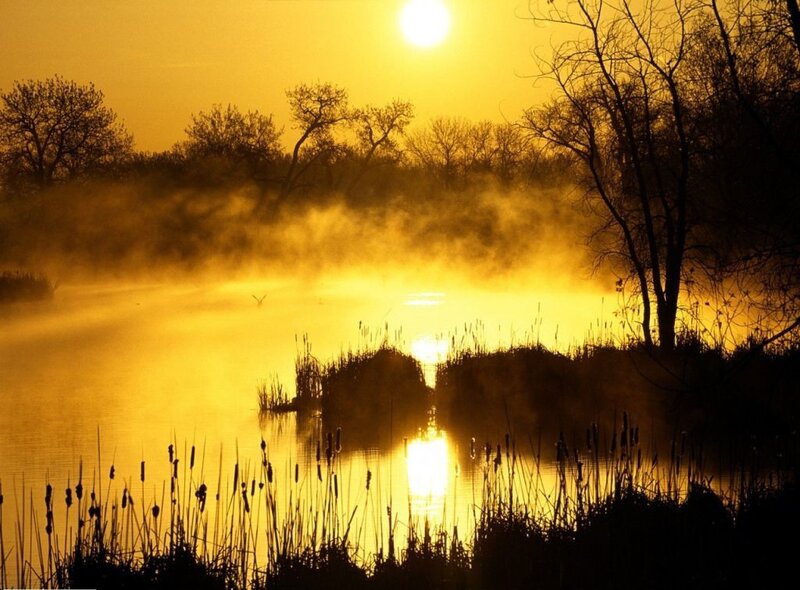 Sunrise over Misty Lake — Serene