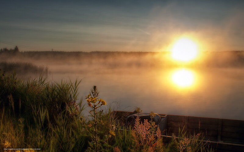 Sunrise over Misty Lake — Yellow, Serene, Photograph, Mist, Grass