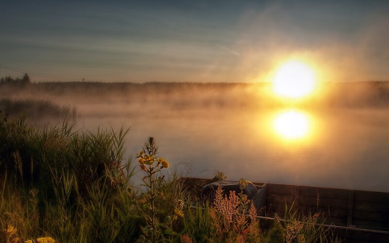 Sunrise over Misty Lake — Yellow, Serene, Photograph, Mist, Plants