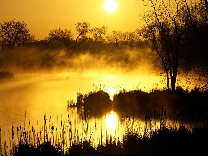 Sunrise over Misty Lake — Yellow, Serene