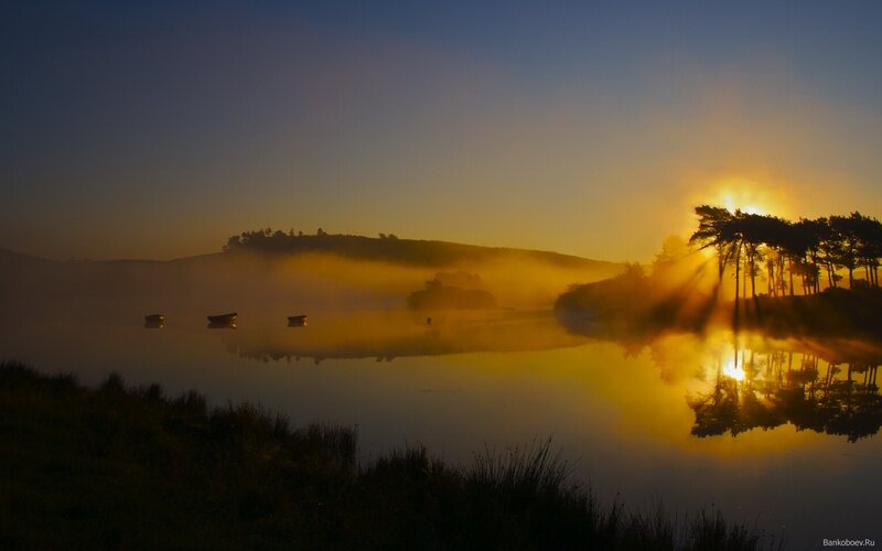 Sunrise over Misty Lake — Yellow