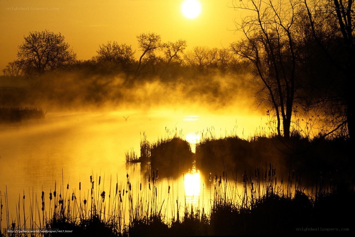 Sunrise over misty lake
