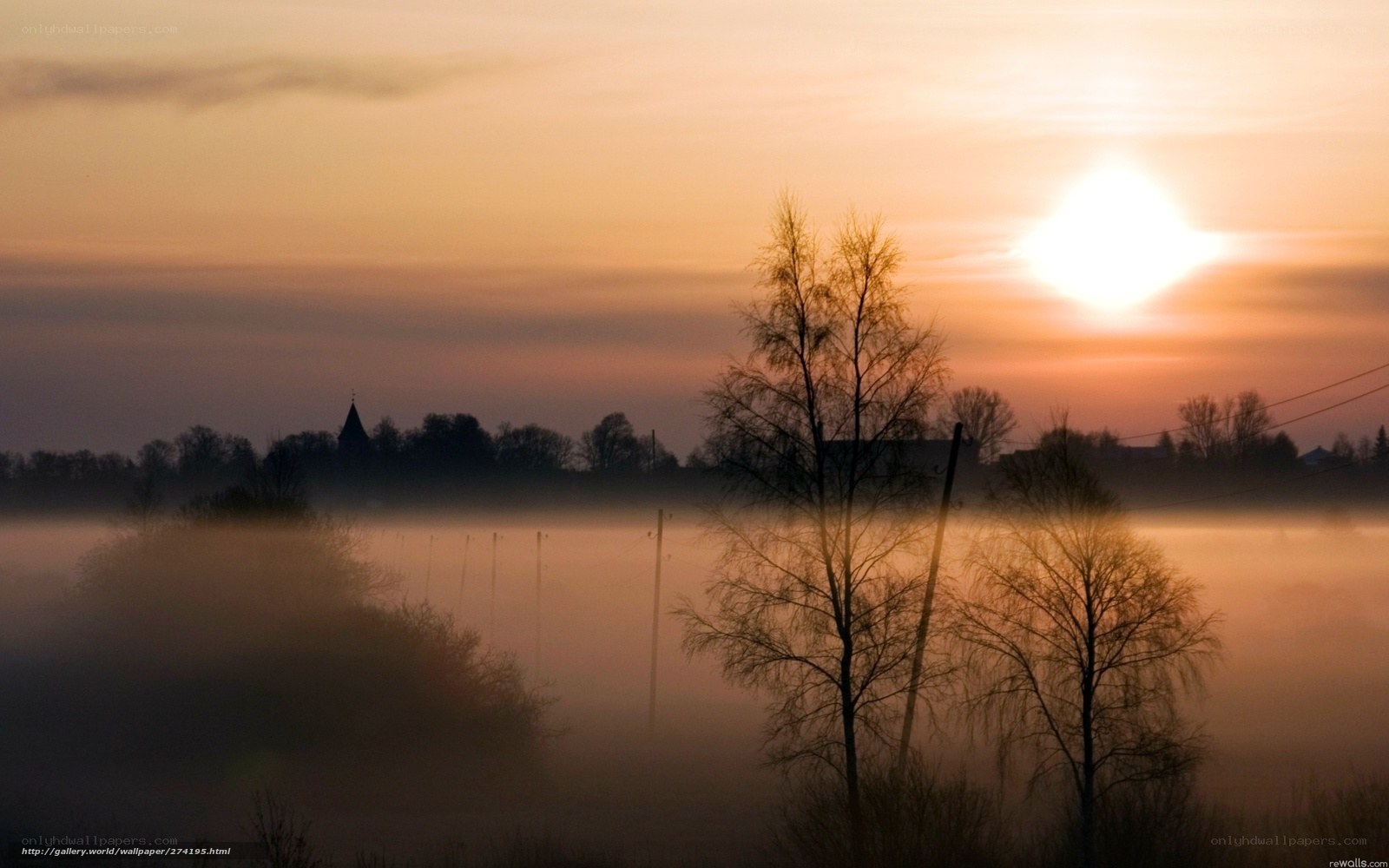 Sunrise over misty landscape